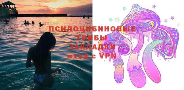 ГАЛЛЮЦИНОГЕННЫЕ ГРИБЫ Балабаново