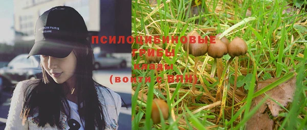 прущая мука Покров