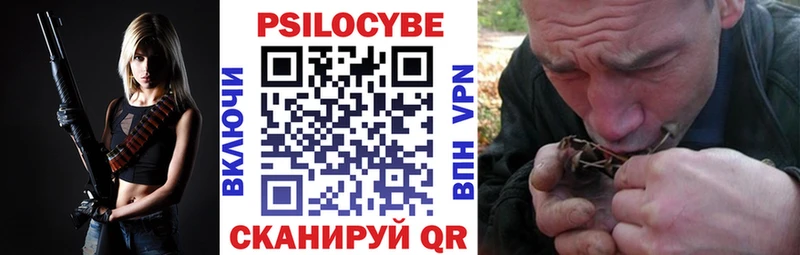 блэк спрут ССЫЛКА  цены   Шацк  Псилоцибиновые грибы GOLDEN TEACHER 